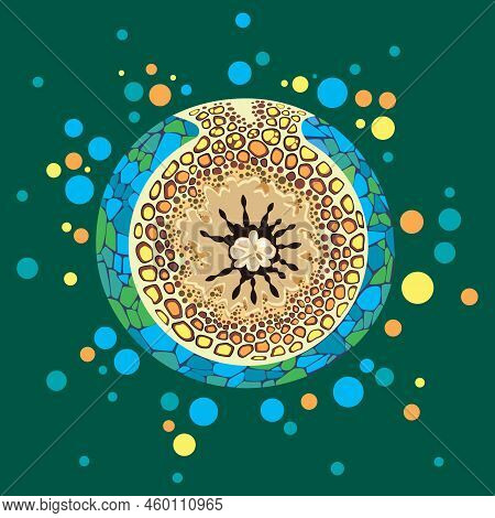 Round Abstraction Made Of Colorful Parts And Circles. Vector Illustration