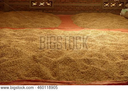 Coffee Beans On Mats On The Floor In A Farm Warehouse