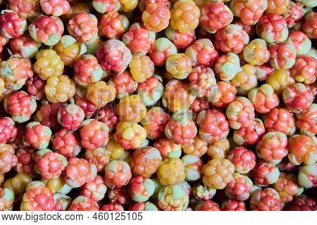 Full Frame Texture Of Cloudberries Are Scattered On Table To Dry.