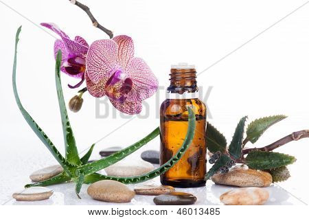 Ot yaprağı ve orkide bir aromaterapi Uçucu yağ ile