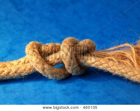Knot