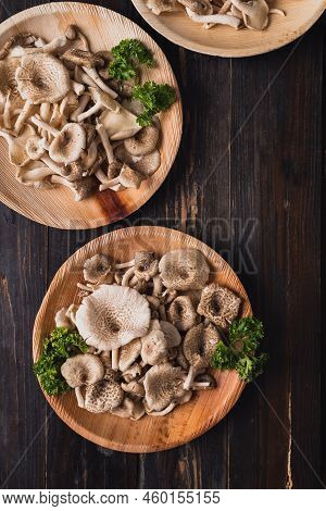 Fresh Edible Mushroom (lentinus Squarrosulus) In Natural Plate On Wooden Background, Organic Food In