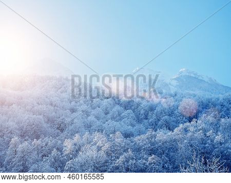 Snowy Forest Against The Backdrop Of Sunny Winter Mountains. Snowy Forest In Sunny Winter Mountains.