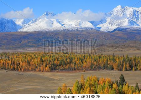 Altai (vuoristo)