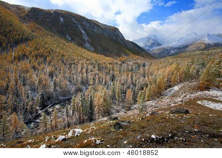 Altai (vuoristo)