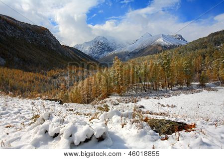Altai (vuoristo)