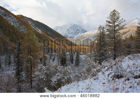 Altai (vuoristo)