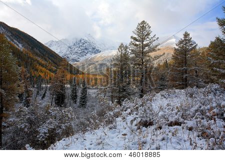 Altai (vuoristo)