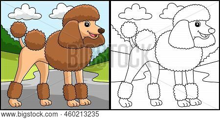 This Coloring Page Shows A Poodle Dog. One Side Of This Illustration Is Colored And Serves As An Ins