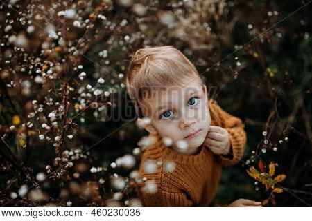 Top View Of Cute Little Boy Wearing Knitted Sweater, Explorying Autumn Nautre.