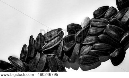 Sunflower Seeds, Isolated, Top View, Black And White