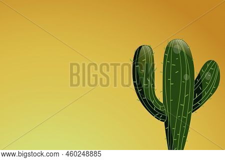 Tall Succulent Cactuses With Thorns On Color Background. Vector Drawing Set Illustration For Icon, G