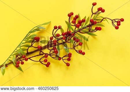 Autumn Oak And Rowan Branches With Red Berries On Yellow Background.

Flat Lay, Top View, Copy Space