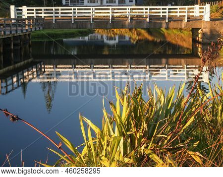 White Bridge Railing Reflected In Calm Of Creek At Opito Bay Coromandel, New Zealand.