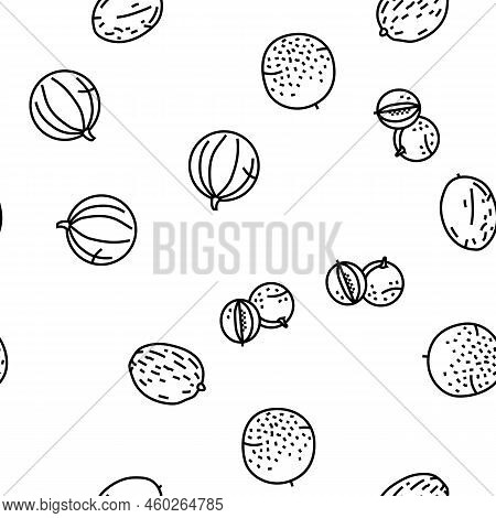 Melon Cantaloupe Yellow Fruit Vector Seamless Pattern Thin Line Illustration