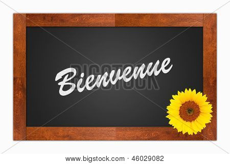 Bienvenue, Welcome Sign