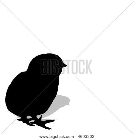 Poulet