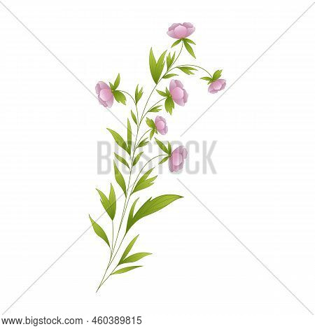 Flower Branch Vector Illustration - Plant Leaves