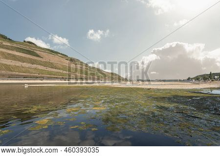 Rhine Near Bingen In Rhineland-palatinate In Germany. Extreme Low Water In The Drought Summer Of 202