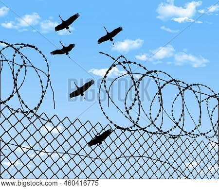 Sandhill Cranes Fly Over A Broken Prison Fence And Broken Razor Wire In A 3-d Illustration About Fre