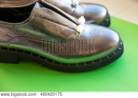 Studio Shot Of Silver Autumn Boots, Isolated On Green Background.fashionable Trendy Leather Womens H
