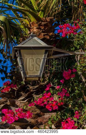 Gharb, Gozo / Malta - 12-july-2022 An Old Lantern In The Garden