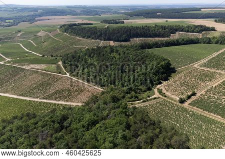 Aerial View On Chablis Grand Cru Appellation Vineyards With Grapes Growing On Limestone And Marl Soi