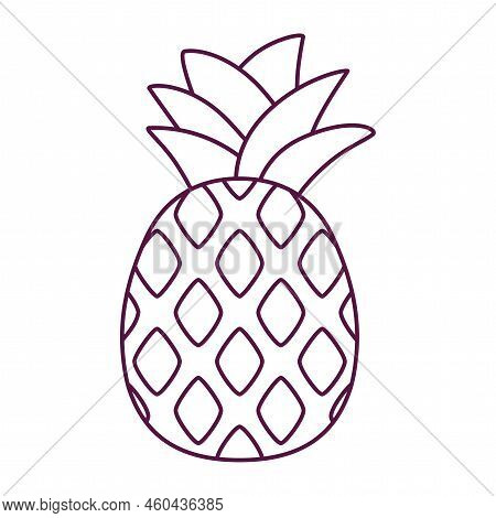 Isolated Pinneapple Draw Beach Objects Colors Vector Illustration