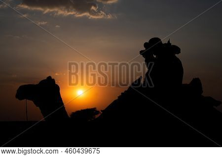 Female Tourist Taking Picture Of Sunset While Riding Camel, Camelus Dromedarius, At Sand Dunes Of Th