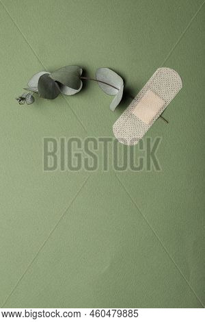 Eucalyptus Branch And Sticking Plaster On Green Background, Top View. Space For Text