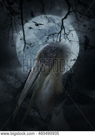 Lesser Adjutant Stork Bird Standing Over Cross, Church, Crow, Dead Tree, Full Moon And Cloudy Spooky