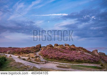 Stunning Late Summer Sunrise In Peak District Over Fields Of Heather In Full Bloom Around Higger Tor