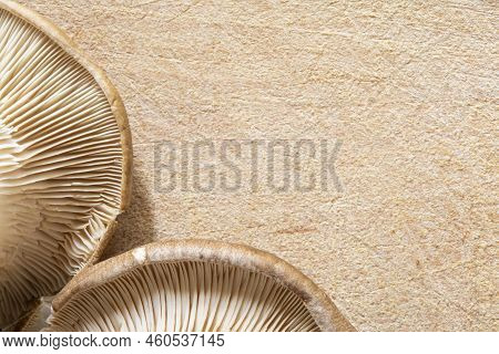 Top View Closeup Macro Of Two Mushrooms Gills On Textured Wooden Cutting Board With Copyspace