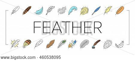 Feather Bird Soft Quil Fluffy Icons Set Vector. Plume, Plumage Light, Falling Angel, Fluff Swan, Lig