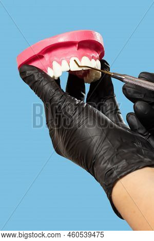 Dentists Hands With Layout Of Human Jaw And Midical Tool.