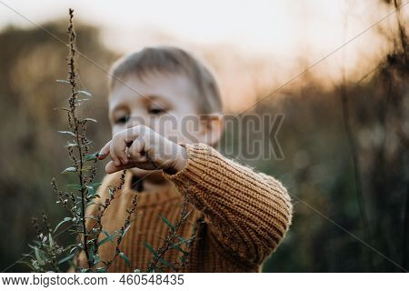 Portrait Of Cute Little Boy Wearing Knitted Sweater In Nautre, Autumn Concept.