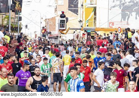 Running Of The Bulls. Bulls. Bull Runs. Encierro That Is Celebrated In The Town Of San Sebastian De 