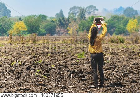 Female Farmer Use Tablet To Take Wide Angle Shots Of Land To Make Farming Decisions In Soil Field. W