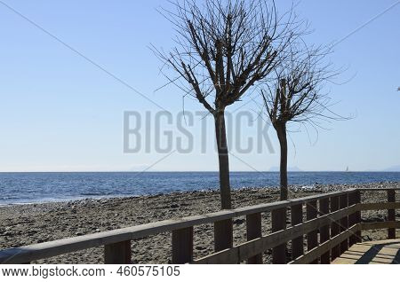 Autumn Trees Next To Litoral Wooden Footpath With The Silhouettes Of Gibraltar And Africa In The Bac