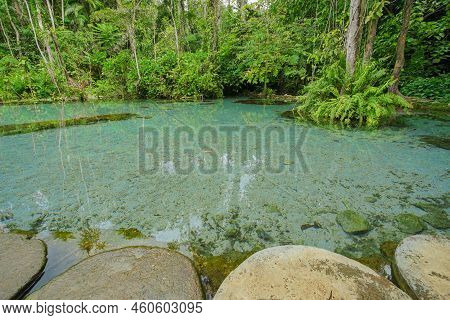 Ban Nam Rad Forested Watersheds In Surat Thani, Thailand.