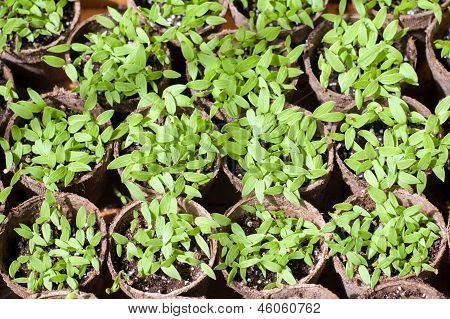 Домашняя страница заливки завод