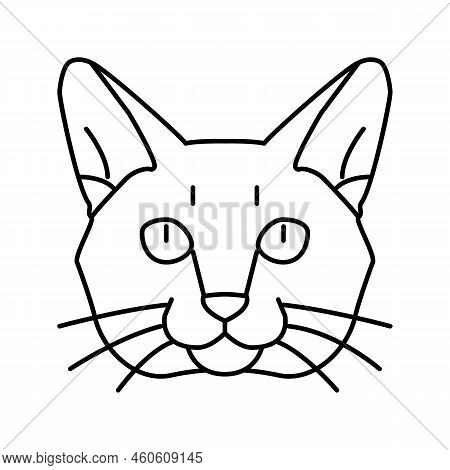 Burmese Cat Cute Pet Line Icon Vector. Burmese Cat Cute Pet Sign. Isolated Contour Symbol Black Illu