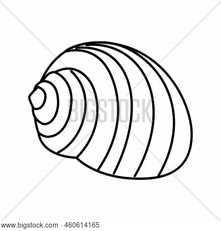 Tonna Sea Shell Beach Line Icon Vector. Tonna Sea Shell Beach Sign. Isolated Contour Symbol Black Il