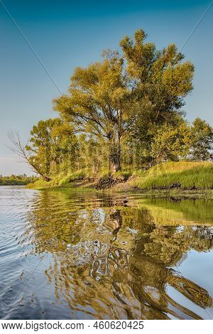 Summer Traveling. Idyllic Pripyat River With Mirror Water Reflections And Line Of Trees  Along The S