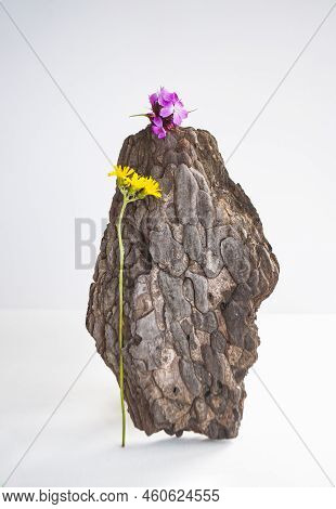 Natural Composition Of A Tree Bark Peace With Blooming Wild Flowers.