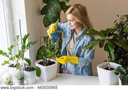 Cheerful Young Woman Florist Spraying Water On Houseplants In Flowerpot By Sprayer. Happy Female Gar