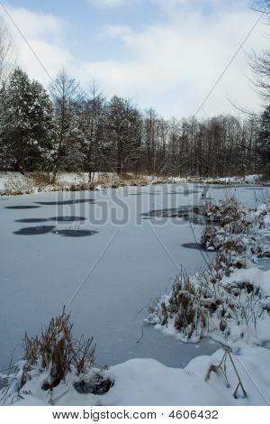 Skov floden på vinter