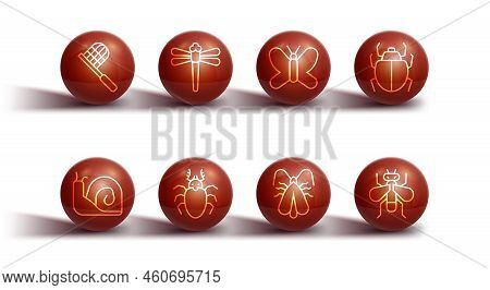 Set Line Butterfly Net, Snail, Mite, Clothes Moth, Beetle Deer, Dragonfly, Insect And Icon. Vector
