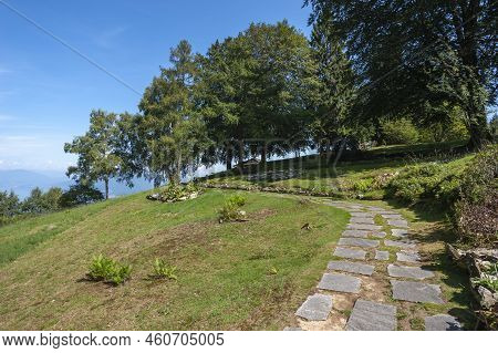 Park Giardino Botanico Alpinia Near Stresa. Stresa Is A Town In Piedmont In Northern Italy