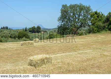 Rural Landscape With Fields And Mount Erymanthos In Greece